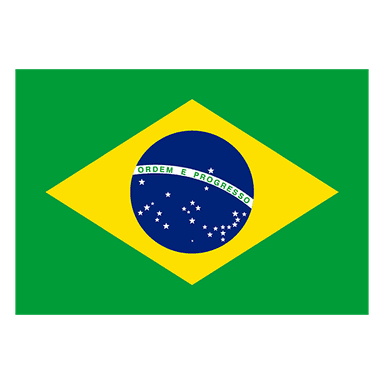 Brazil flag